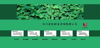 �Ĵ���˰������ѯ���޹�˾��վ